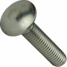 Image of item: 10-24 Carriage Bolts Stainless Steel 18-8