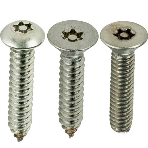 security screws